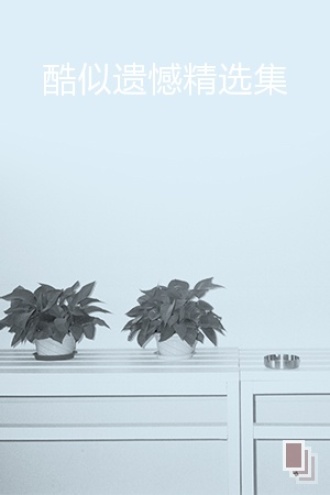 酷似遗憾精选集