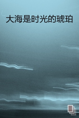 大海是时光的琥珀