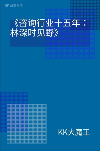 《咨询行业十五年：林深时见野》