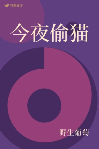 今夜偷猫