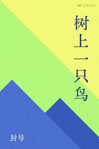 树上一只鸟