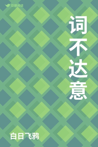 词不达意
