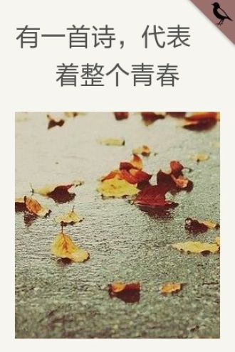 有一首诗，代表着整个青春