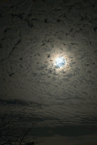 仙逆同人之白玉