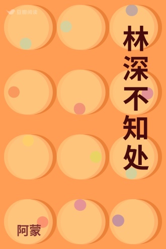 林深不知处 - 言十三 - 女性小说 - 原创 | 豆瓣阅读