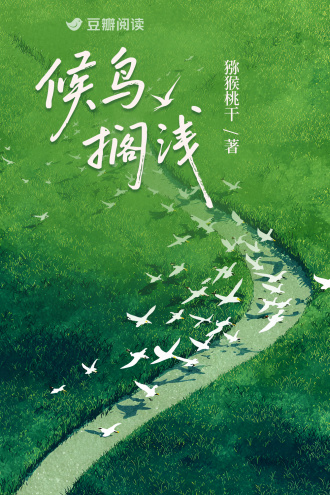 候鸟搁浅