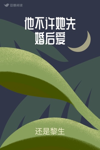 他不许她先婚后爱