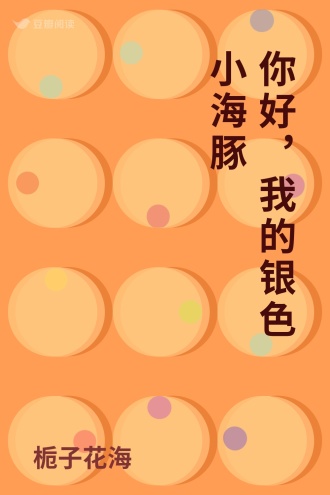 你好，我的银色小海豚