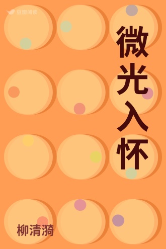 微光入怀