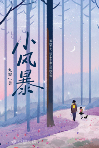 小风暴