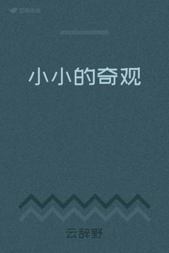 小小的奇观
