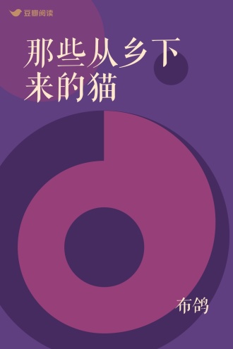 那些从乡下来的猫