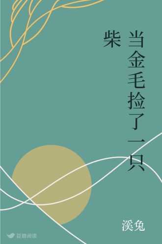 当金毛捡了一只柴