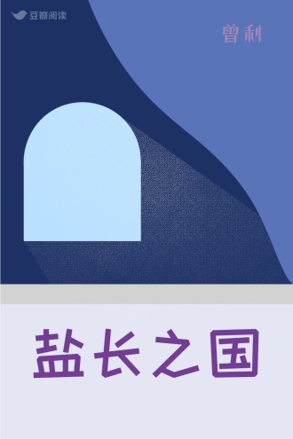 盐长之国