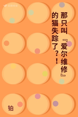 那只叫“爱尔维修”的猫失踪了？！