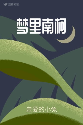梦里南柯