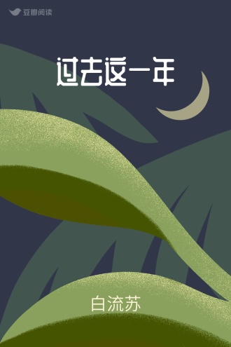 过去这一年