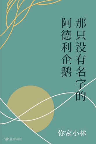 那只没有名字的阿德利企鹅