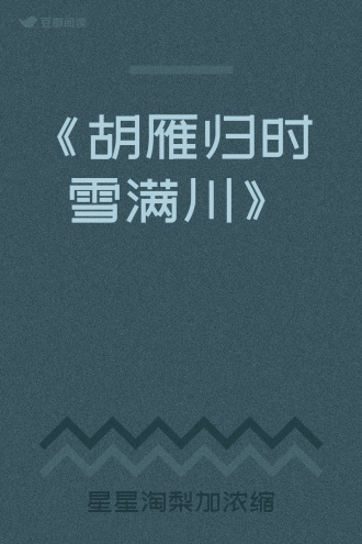 《胡雁归时 雪满川》