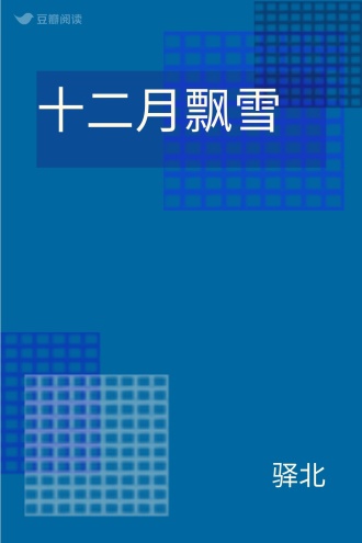 十二月飘雪