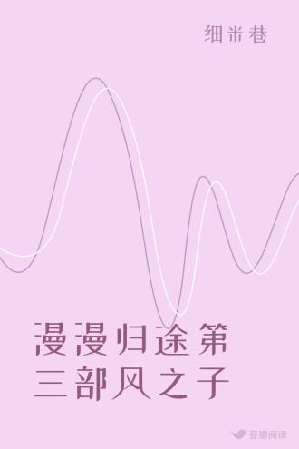 漫漫归途第三部风之子