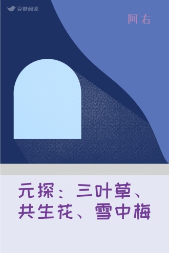 元探：三叶草、共生花、雪中梅