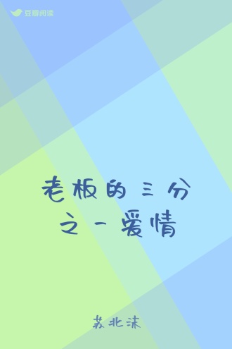 老板的三分之一爱情