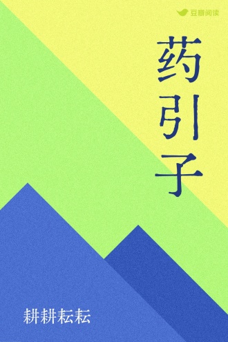 药引子