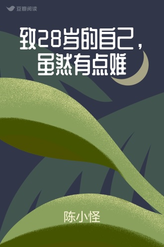 致28岁的自己，虽然有点难