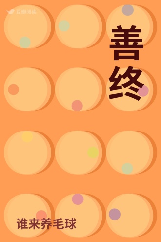 善终