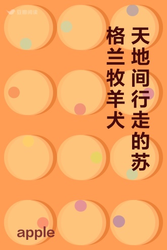 天地间行走的苏格兰牧羊犬