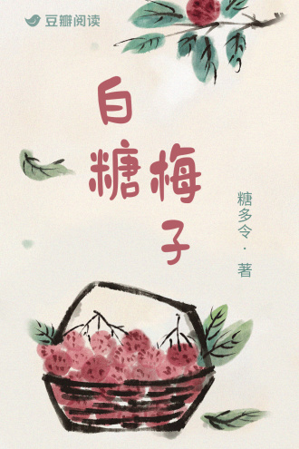 白糖梅子
