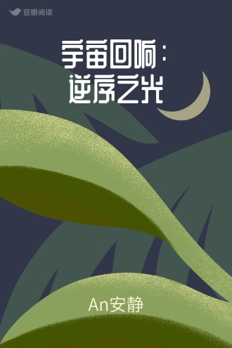 宇宙回响：逆序之光