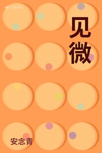见微