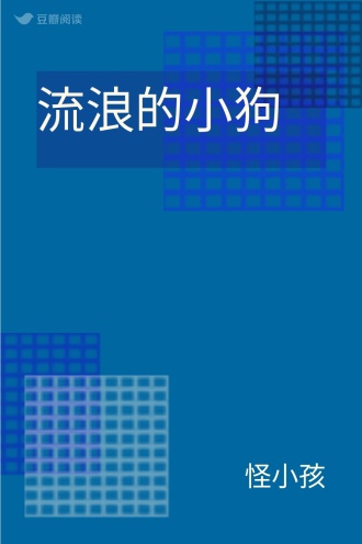 流浪的小狗