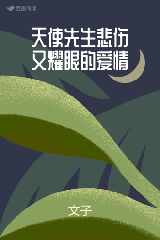 天使先生悲伤又耀眼的爱情