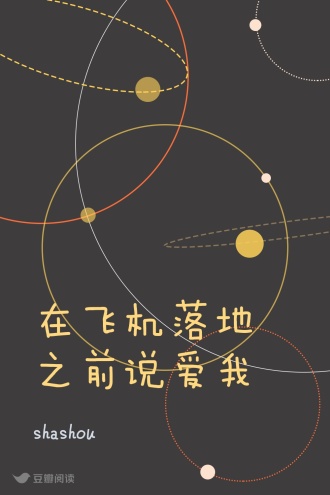 在飞机落地之前说爱我