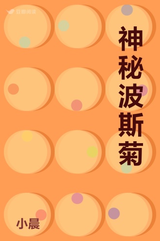 神秘波斯菊
