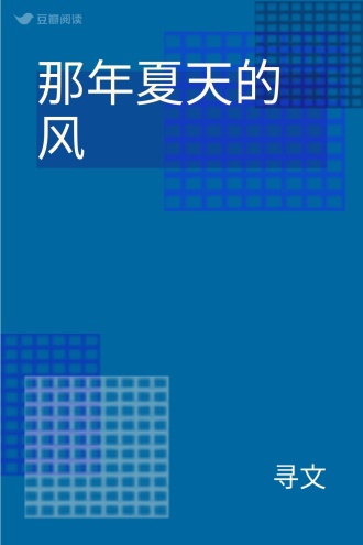 那年夏天的风