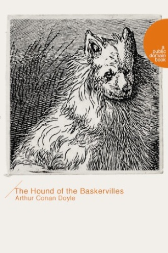 The Hound of the Baskervilles（巴斯克维尔的猎犬）