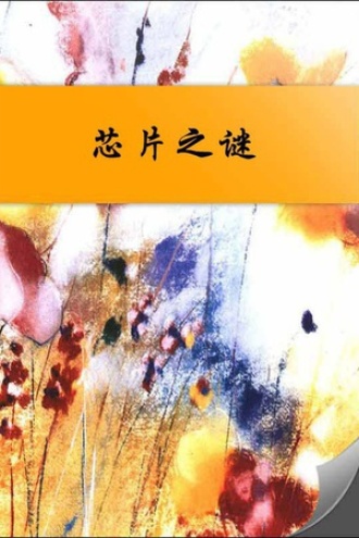 芯片之谜