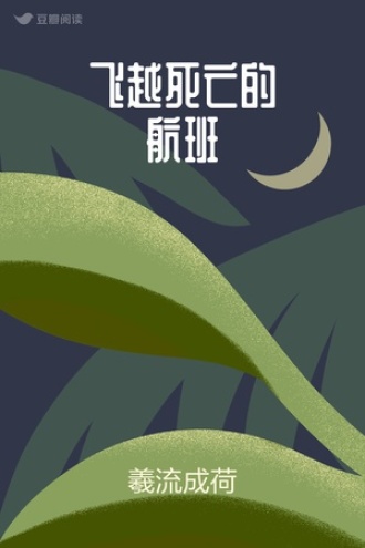 飞越死亡的航班