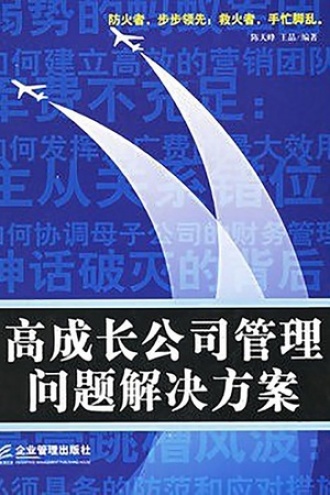 高成长公司管理问题解决方案