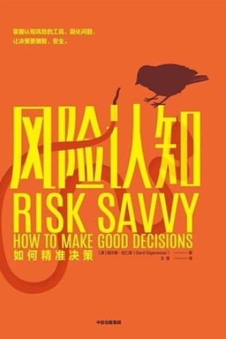 风险认知：如何精准决策书籍封面
