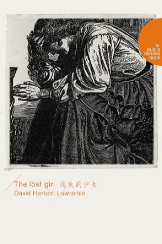 The lost girl（迷失的少女）