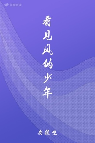 看见风的少年