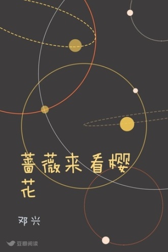 蔷薇来看樱花