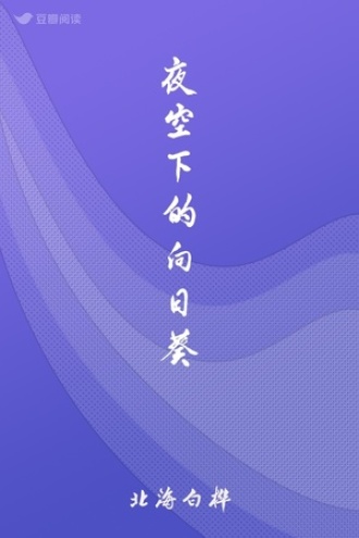 夜空下的向日葵