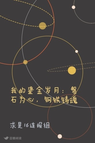 我的鎏金岁月：磐石为心，钢铁铸魂