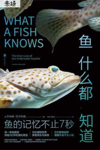 鱼什么都知道